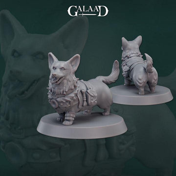 Corgi Miniature | Tabletop RPG Miniature | Galaad Miniatures | Roleplaying 3D Printed Fantasy Mini - 3DPrintDen