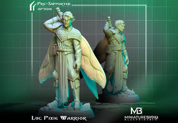 Pixie Warrior Miniature, Luc | Tabletop RPG Miniature | Miniatures Blueprint | Roleplaying 3D Printed Fantasy Mini - 3DPrintDen