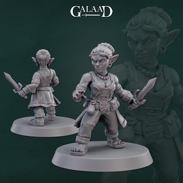 Female Goblin Fighter Miniature | Tabletop RPG Miniature | Galaad Miniatures | Roleplaying 3D Printed Fantasy Mini - 3DPrintDen