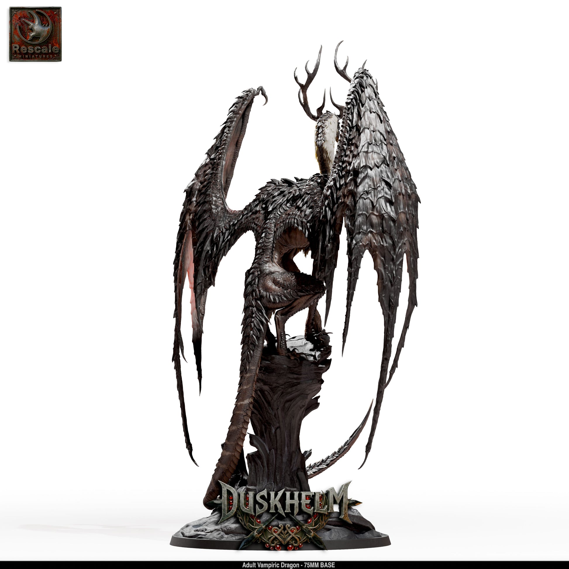 AdultVampiricDragon_Main04.jpg
