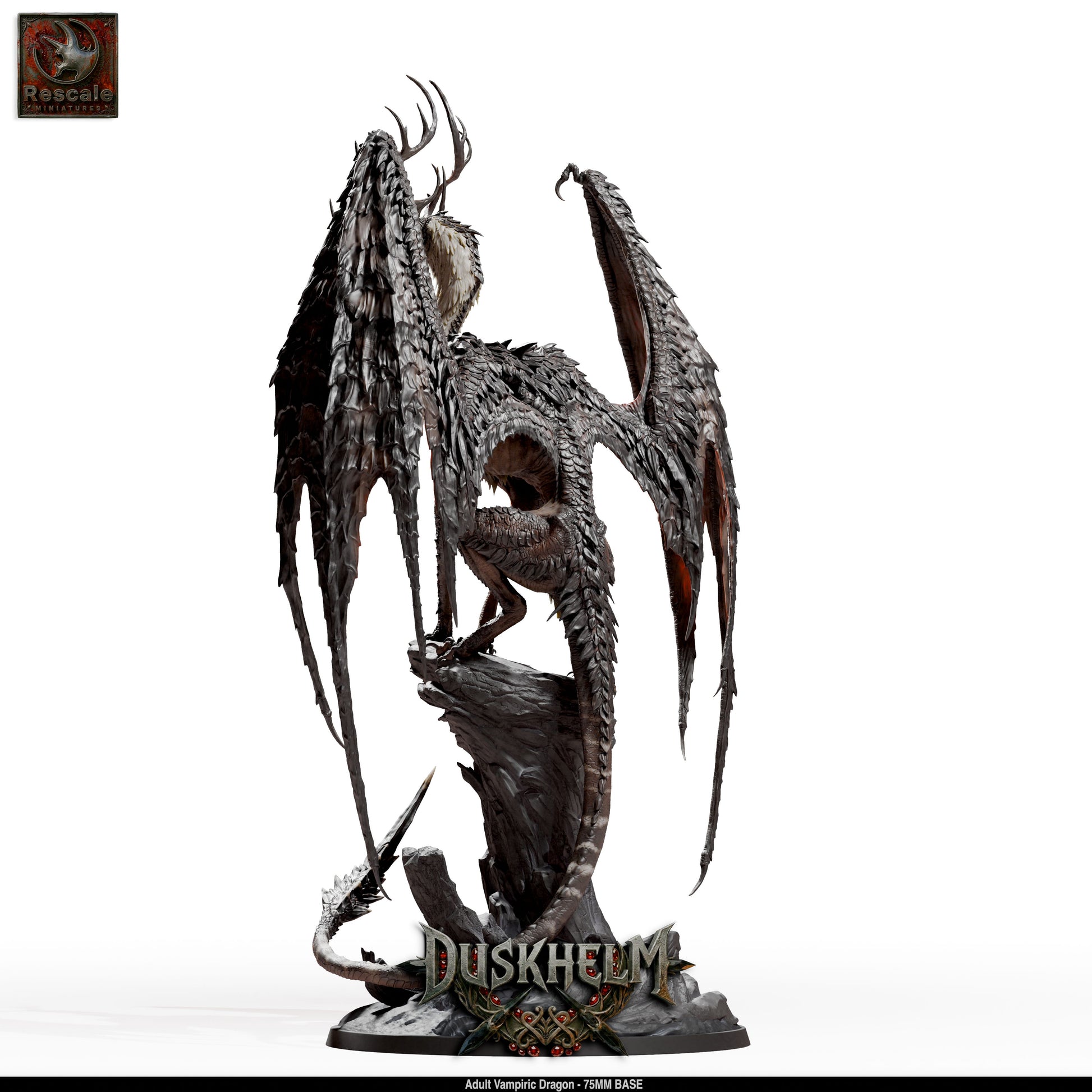 AdultVampiricDragon_Main06.jpg