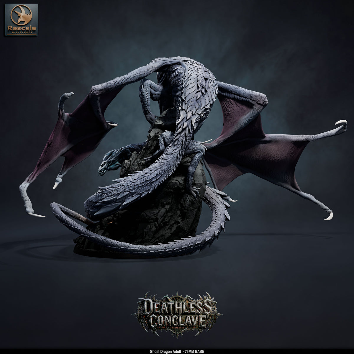 GhostDragonAdult03.jpg