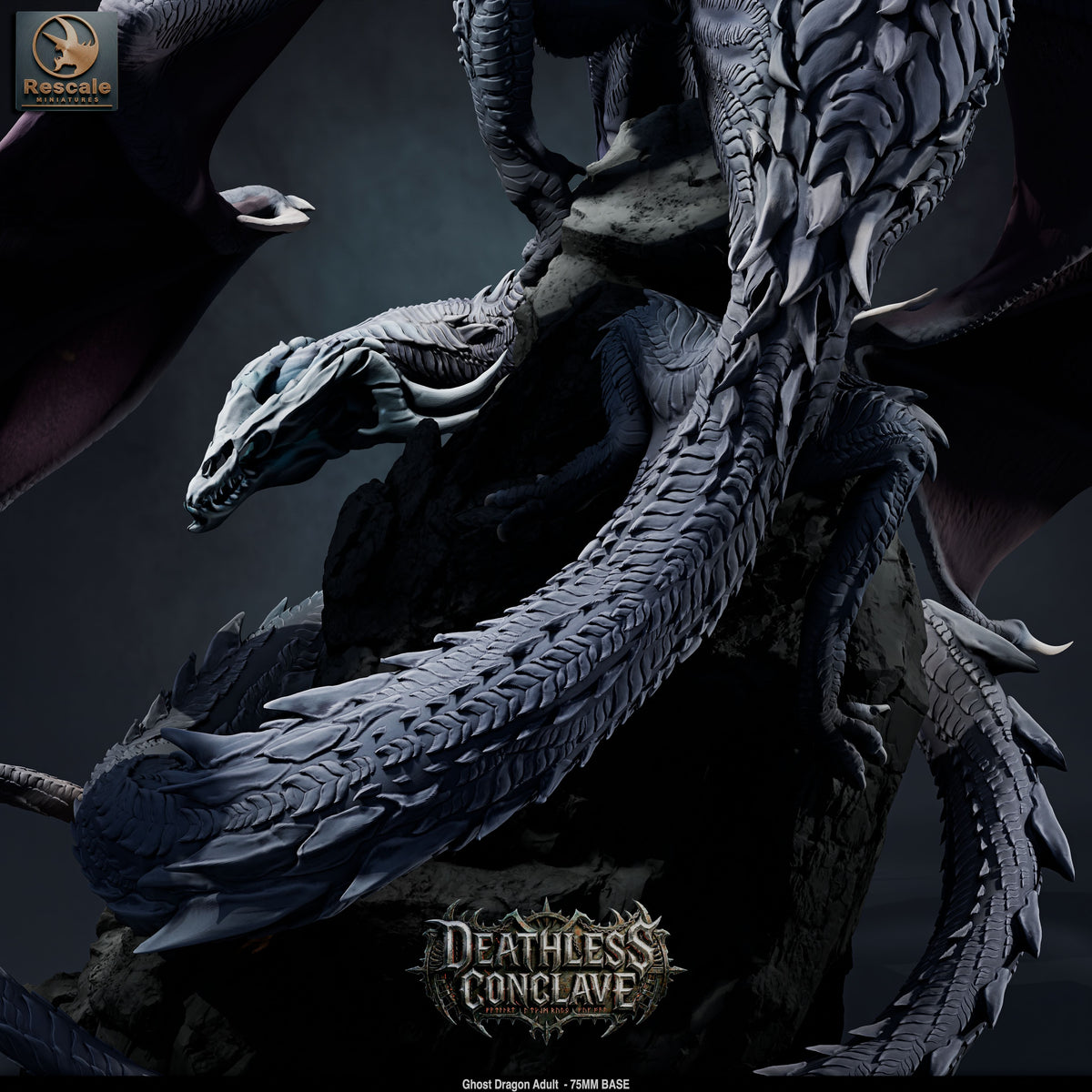 GhostDragonAdult_CloseUp02.jpg