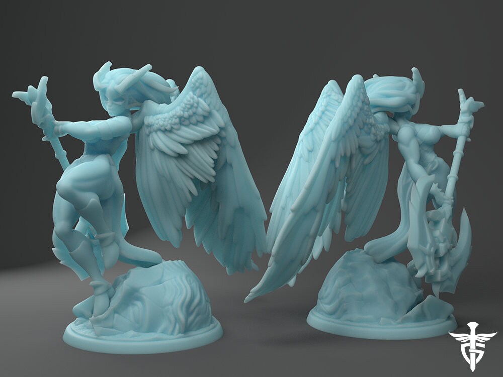 Aasimar Paladin | Twin Goddess Miniatures | Tabletop RPG Miniature | Roleplaying 3D Printed Fantasy Mini - 3DPrintDen