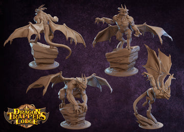 Gargoyle Miniature | Tabletop RPG Miniature | Dragon Trappers Lodge | Roleplaying 3D Printed Fantasy Mini - 3DPrintDen