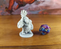 Tortle Peacekeeper Miniature | Tabletop RPG Miniature | Epic 'N' Stuff | Roleplaying 3D Printed Fantasy Mini - 3DPrintDen