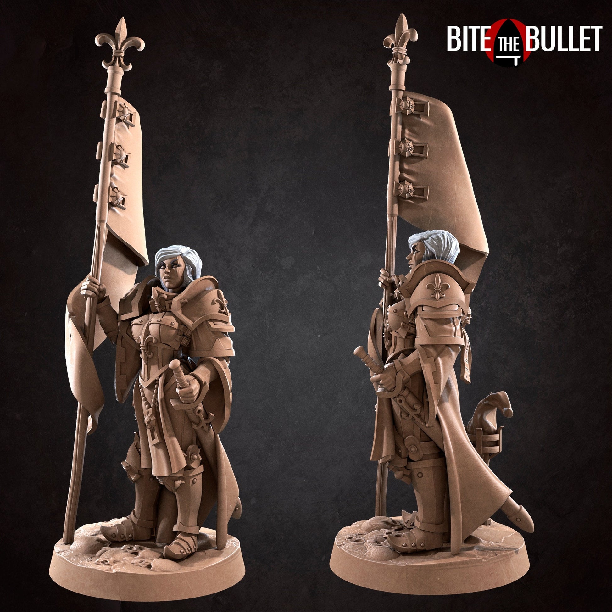 Banner Battlesister Miniature | Tabletop RPG Miniature | Bite the Bullet | Roleplaying 3D Printed Fantasy Mini - 3DPrintDen