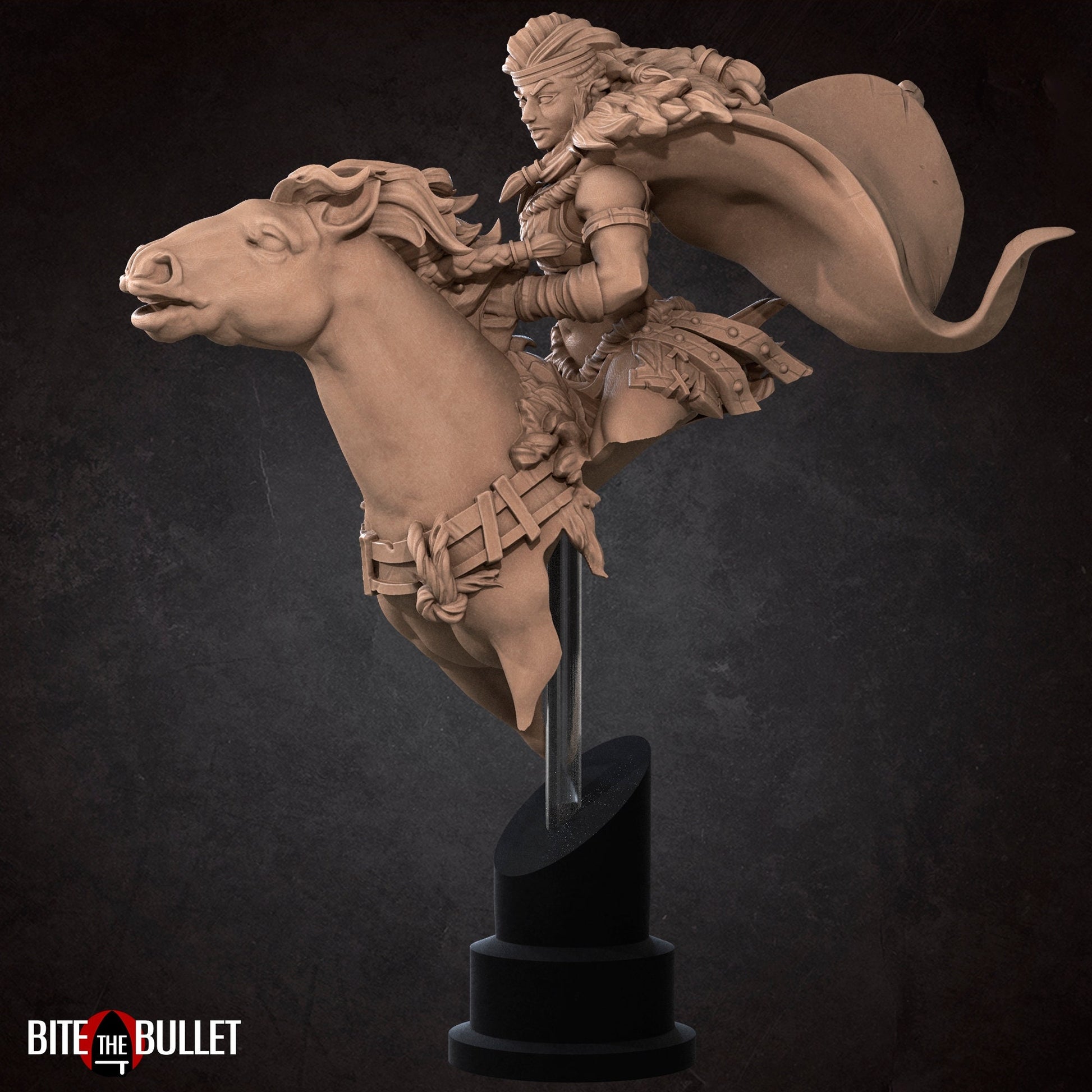 Amazon Queen Anira Mounted Bust | Tabletop RPG Miniature | Bite the Bullet | Roleplaying 3D Printed Fantasy Mini - 3DPrintDen