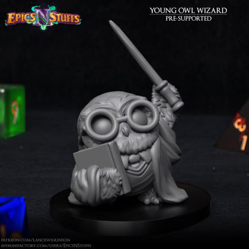 Young Owl Wizard Miniature | Tabletop RPG Miniature | Epic 'N' Stuff | Roleplaying 3D Printed Fantasy Mini - 3DPrintDen