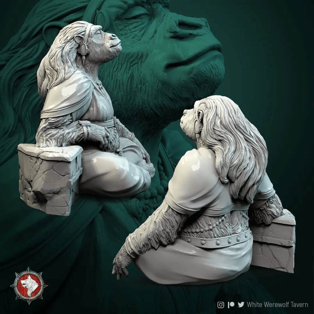 Monkey King's Wife Miniature | Tabletop RPG Miniature | White Werewolf Tavern | Roleplaying 3D Printed Fantasy Mini - 3DPrintDen