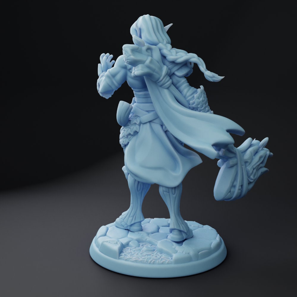 Elf Paladin Miniature, Phaeden | Twin Goddess Miniatures | Tabletop RPG Miniature | Roleplaying 3D Printed Fantasy Mini - 3DPrintDen