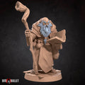 Elder Scholar Miniature | Tabletop RPG Miniature | Bite the Bullet | Roleplaying 3D Printed Fantasy Mini - 3DPrintDen