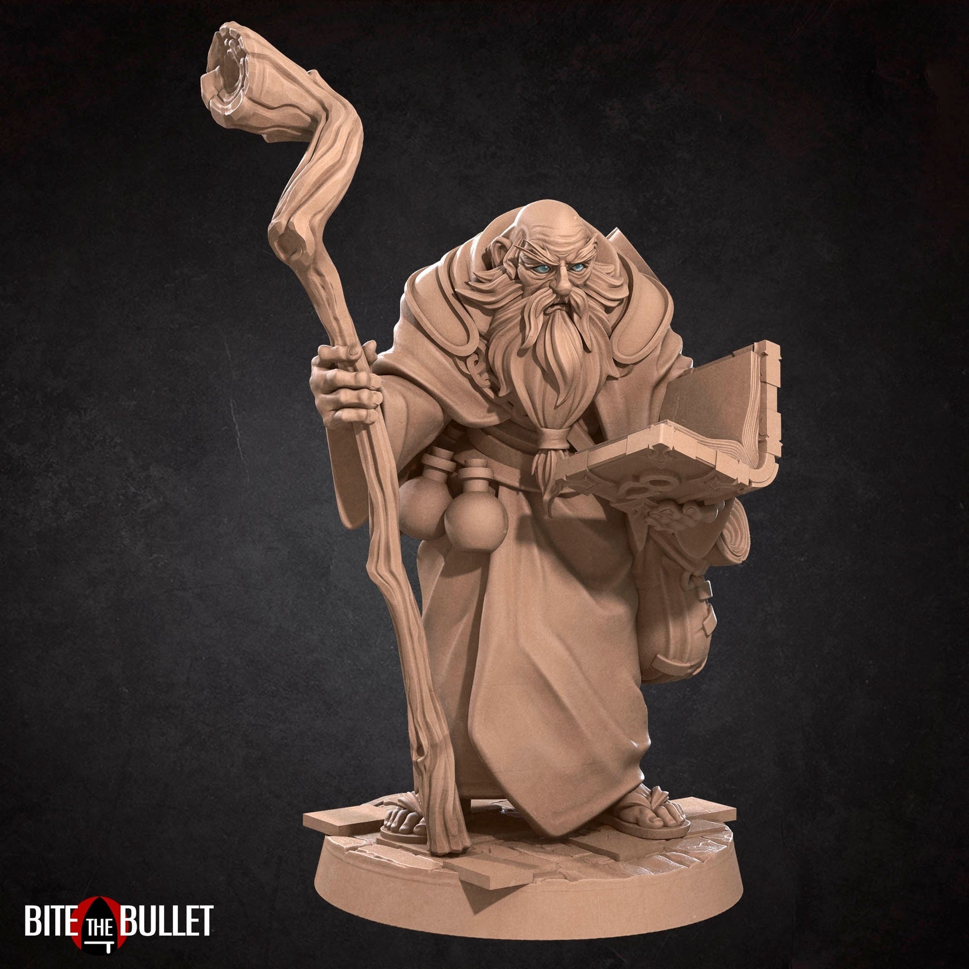 Elder Scholar Miniature | Tabletop RPG Miniature | Bite the Bullet | Roleplaying 3D Printed Fantasy Mini - 3DPrintDen