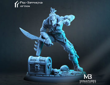 Pirate Miniature | Tabletop RPG Miniature | Miniatures Blueprint | Roleplaying 3D Printed Fantasy Mini - 3DPrintDen