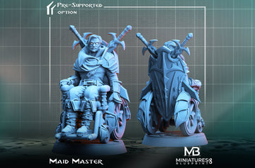 Wheelchair Warrior Miniature | Tabletop RPG Miniature | Miniatures Blueprint | Roleplaying 3D Printed Fantasy Mini - 3DPrintDen