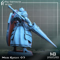 Maid Knight Miniature | Tabletop RPG Miniature | Miniatures Blueprint | Roleplaying 3D Printed Fantasy Mini - 3DPrintDen