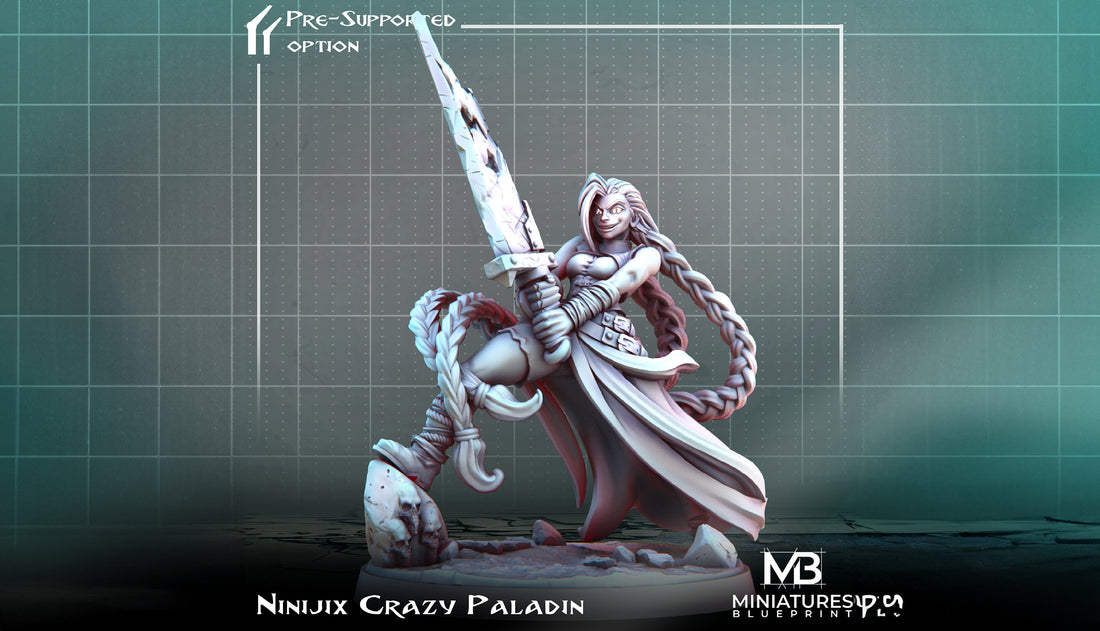 Female Paladin Miniature, Ninijix | Tabletop RPG Miniature | Miniatures Blueprint | Roleplaying 3D Printed Fantasy Mini - 3DPrintDen