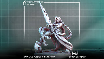 Female Paladin Miniature, Ninijix | Tabletop RPG Miniature | Miniatures Blueprint | Roleplaying 3D Printed Fantasy Mini - 3DPrintDen