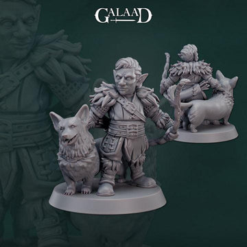Gnome Ranger + Corgi Miniature | Tabletop RPG Miniature | Galaad Miniatures | Roleplaying 3D Printed Fantasy Mini - 3DPrintDen