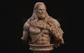 Greek Hero Bust, Heracles | Tabletop RPG Miniature | Nerikson | Roleplaying 3D Printed Fantasy Mini - 3DPrintDen