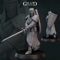 Knight Templar Miniature | Tabletop RPG Miniature | Galaad Miniatures | Roleplaying 3D Printed Fantasy Mini - 3DPrintDen