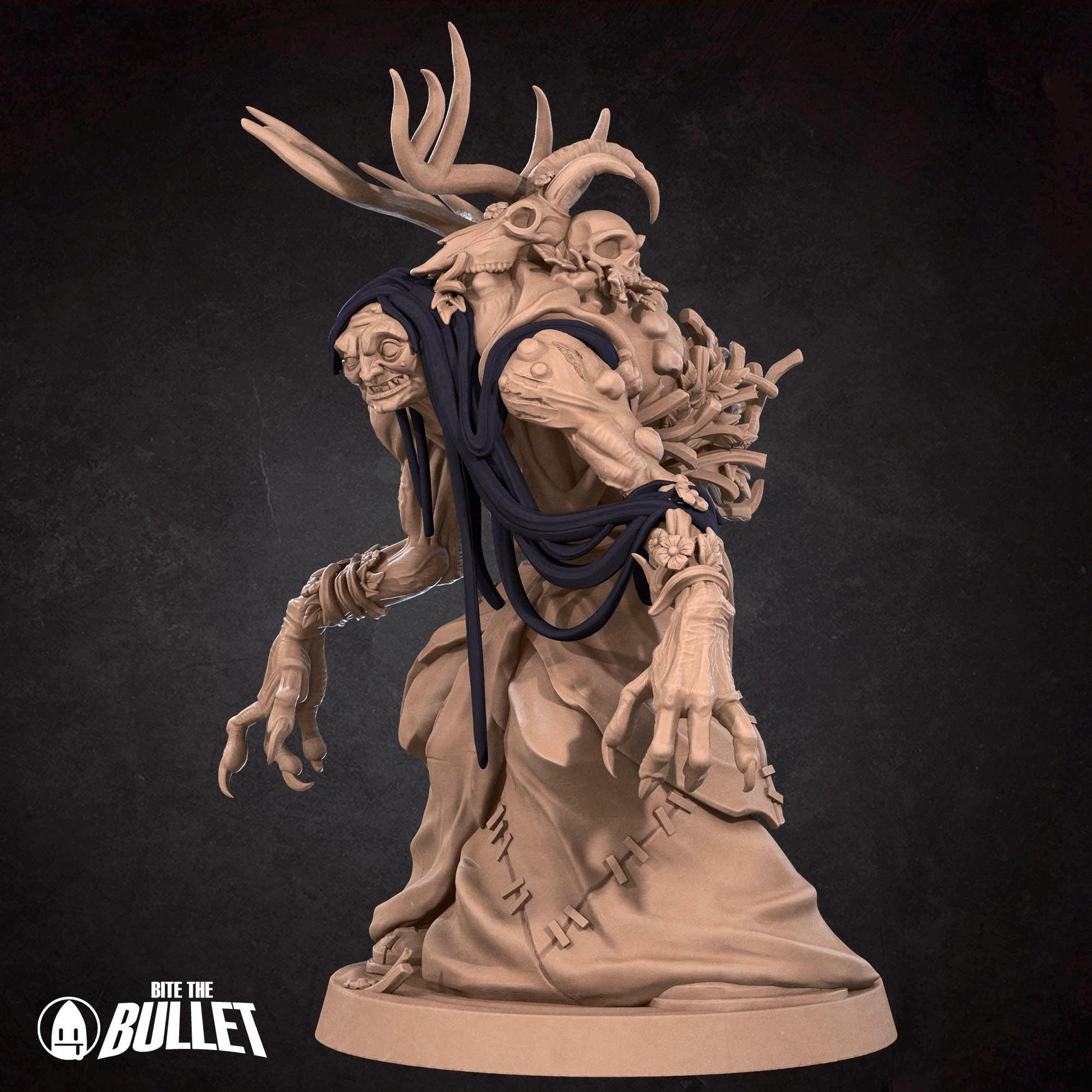 Annis Hag Miniature | Tabletop RPG Miniature | Bite the Bullet | Roleplaying 3D Printed Fantasy Mini - 3DPrintDen