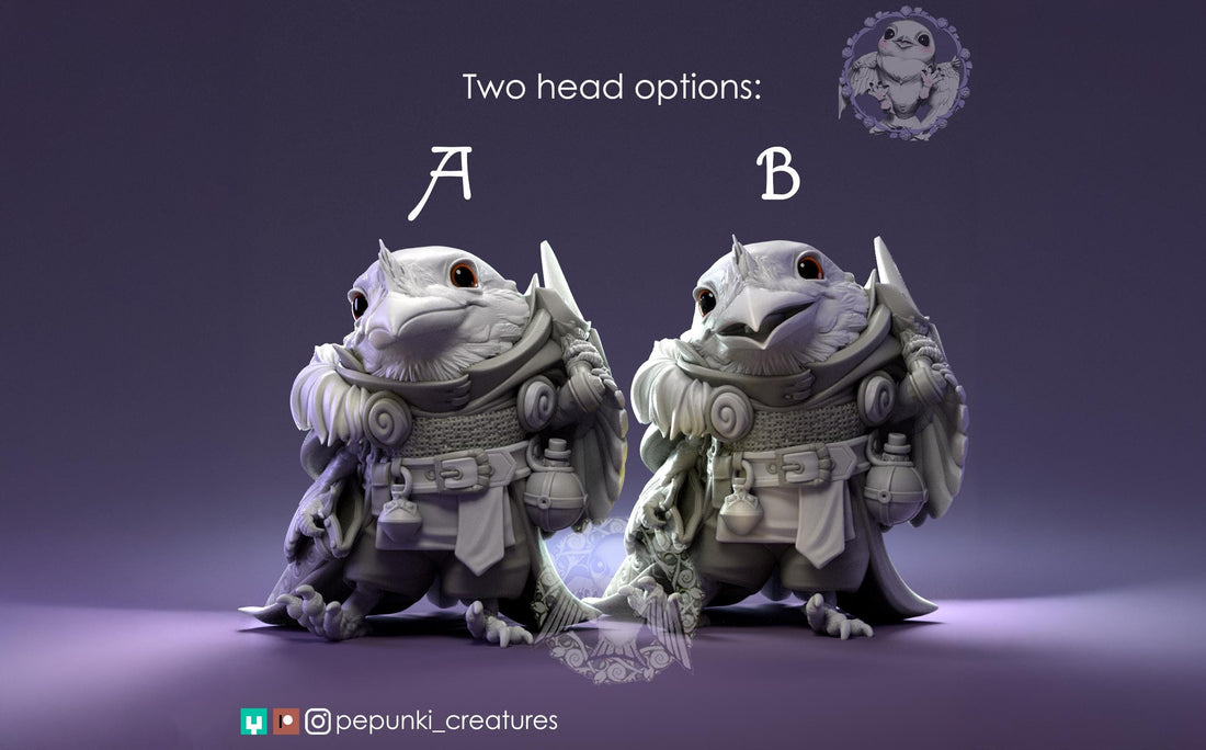 Frogmouth Paladin Miniature | Tabletop RPG Miniature | Pepunki Creatures | Roleplaying 3D Printed Fantasy Mini - 3DPrintDen