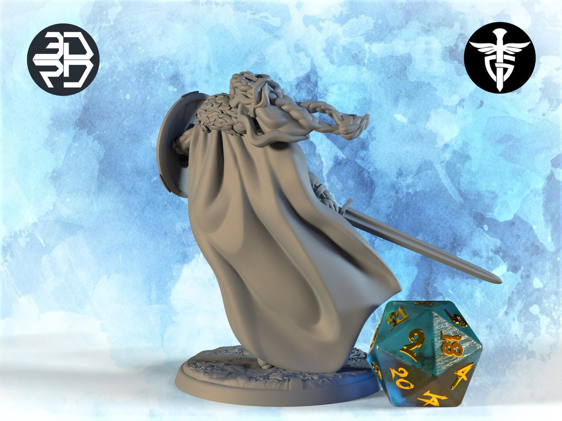 Shieldmaiden Miniature | Twin Goddess Miniatures | Tabletop RPG Miniature | Roleplaying 3D Printed Fantasy Mini - 3DPrintDen