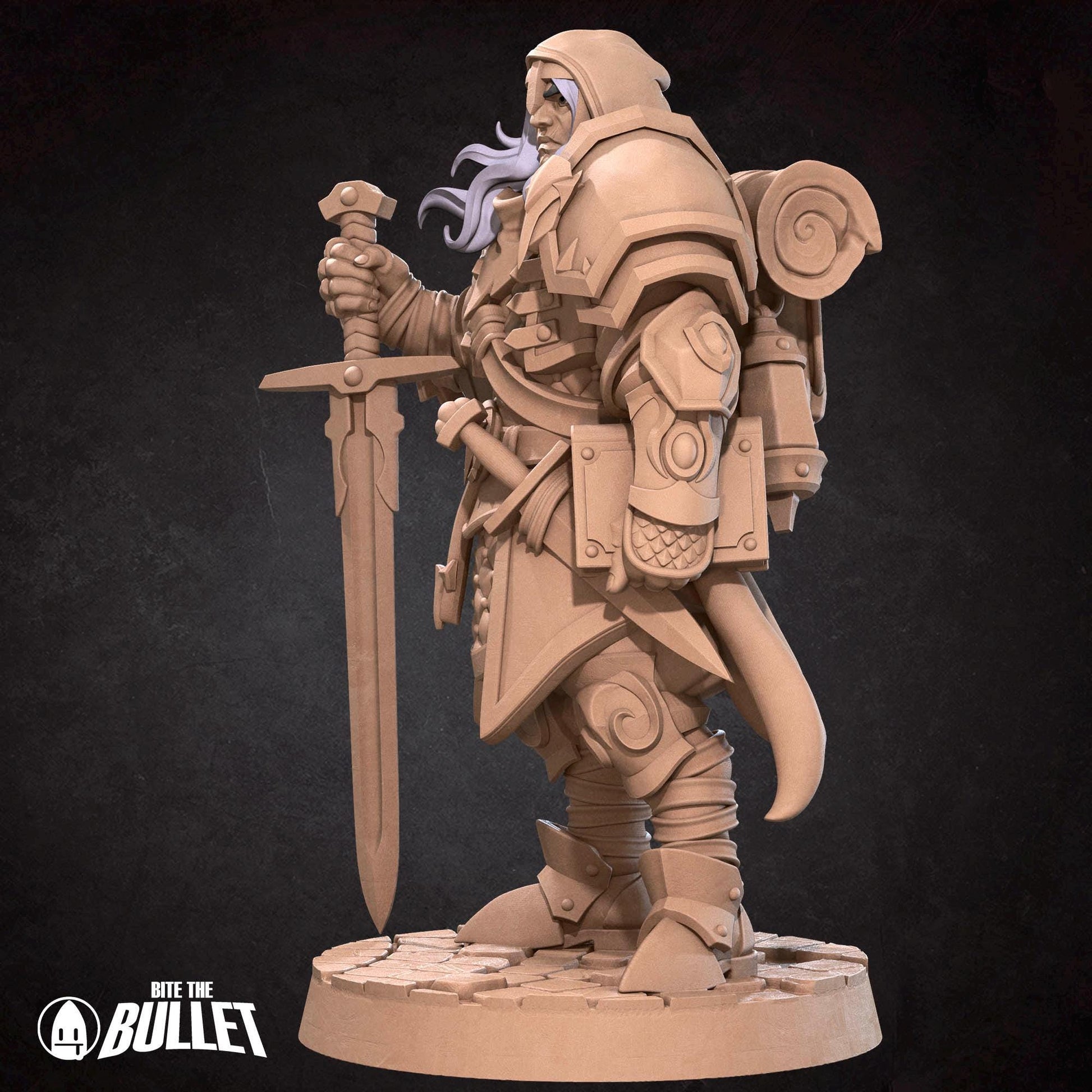 Paladin Miniature | Tabletop RPG Miniature | Bite the Bullet | Roleplaying 3D Printed Fantasy Mini - 3DPrintDen