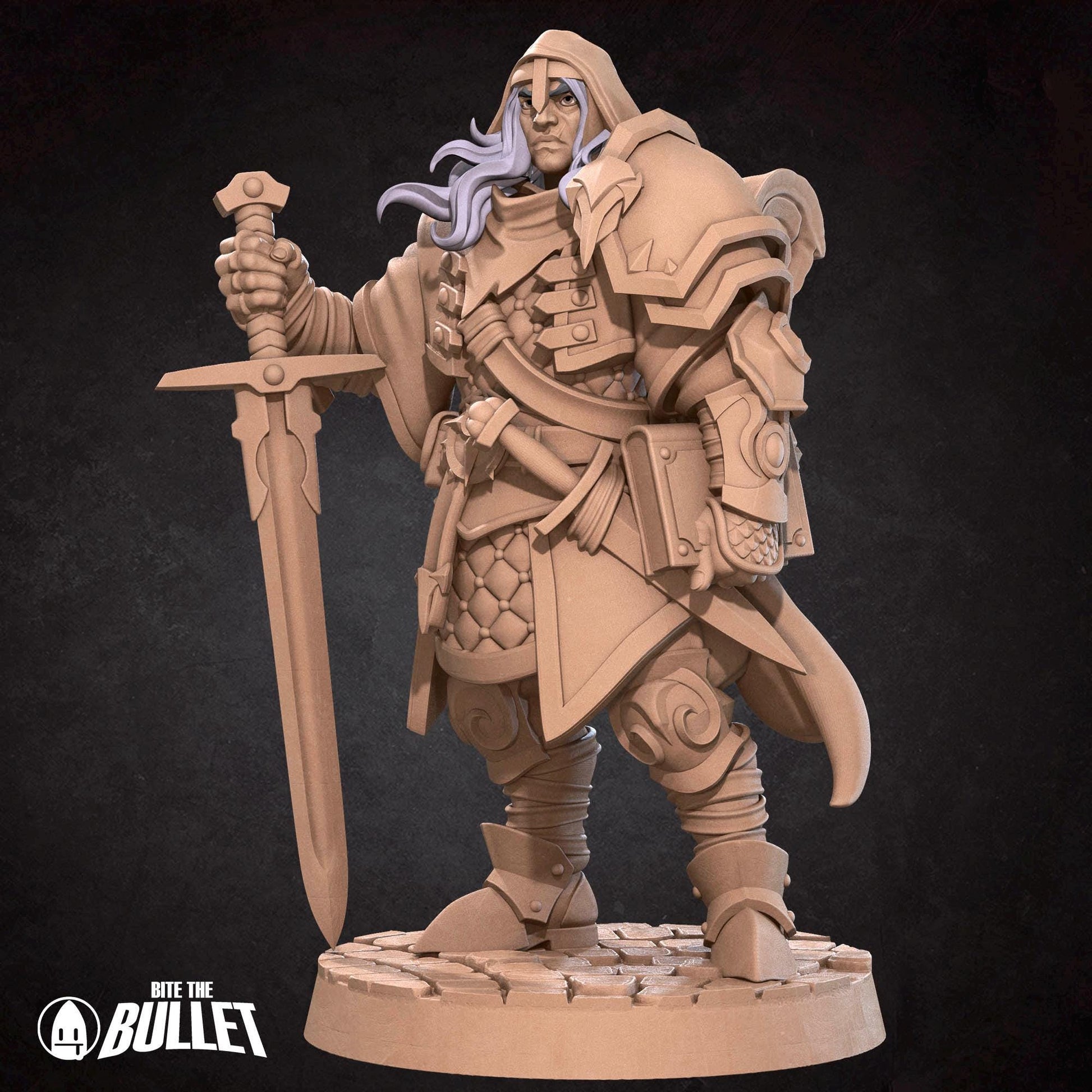 Paladin Miniature | Tabletop RPG Miniature | Bite the Bullet | Roleplaying 3D Printed Fantasy Mini - 3DPrintDen