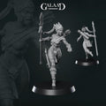 Amazon Miniature | Tabletop RPG Miniature | Galaad Miniatures | Roleplaying 3D Printed Fantasy Mini - 3DPrintDen