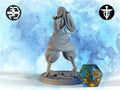 Female Firbolg Bladedancer Miniature, Shahana | Twin Goddess Miniatures | Tabletop RPG Miniature | Roleplaying 3D Printed Fantasy Mini - 3DPrintDen