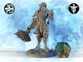 Elf Paladin Miniature, Phaeden | Twin Goddess Miniatures | Tabletop RPG Miniature | Roleplaying 3D Printed Fantasy Mini - 3DPrintDen