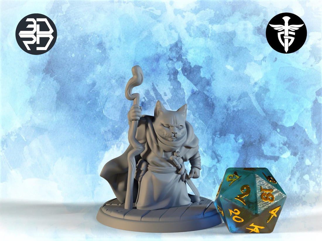 Old Hermit Cat Miniature | Twin Goddess Miniatures | Tabletop RPG Miniature | Roleplaying 3D Printed Fantasy Mini - 3DPrintDen