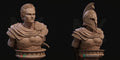 Perseus Bust | Tabletop RPG Miniature | Nerikson | Roleplaying 3D Printed Fantasy Mini - 3DPrintDen